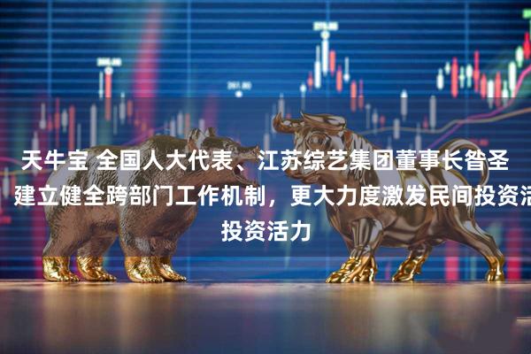 天牛宝 全国人大代表、江苏综艺集团董事长昝圣达：建立健全跨部门工作机制，更大力度激发民间投资活力