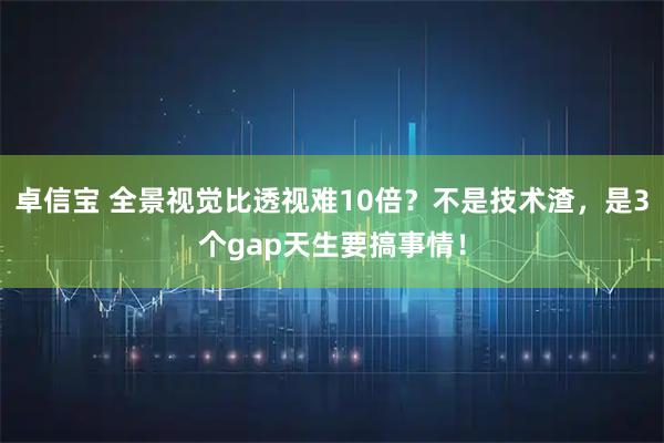 卓信宝 全景视觉比透视难10倍？不是技术渣，是3个gap天生要搞事情！