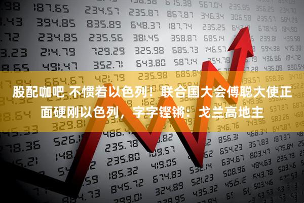 股配咖吧 不惯着以色列！联合国大会傅聪大使正面硬刚以色列，字字铿锵：戈兰高地主