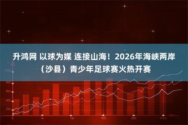 升鸿网 以球为媒 连接山海!2026年海峡两岸(沙县)青少年足球赛火热开赛
